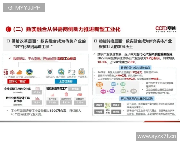 全球贸易新格局：数字化时代下的跨国合作与创新挑战